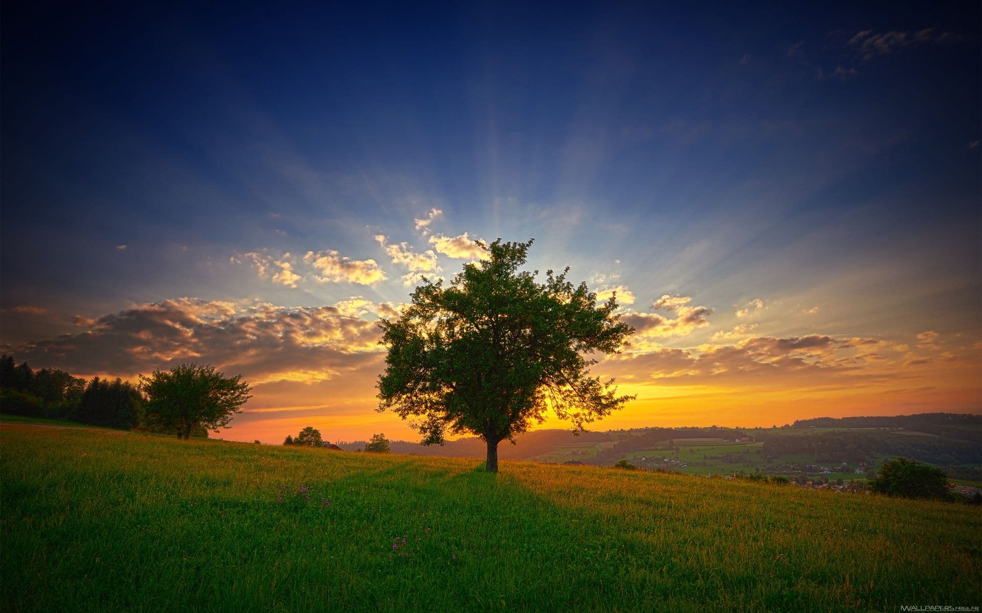 coucher de soleil